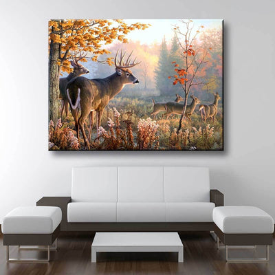 Whitetail Deer Canvas Wall Art - Animals Wall Art - AlphaWallArtCo