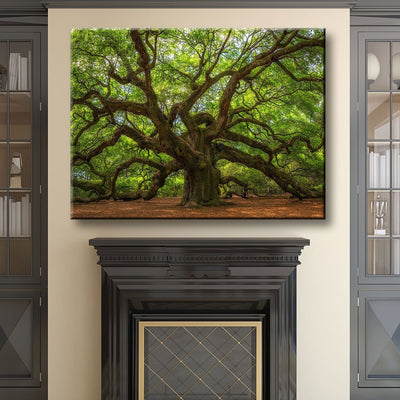 Angel Oak Tree Canvas Wall Art | Tree Canvas Art | AlphaWallArt