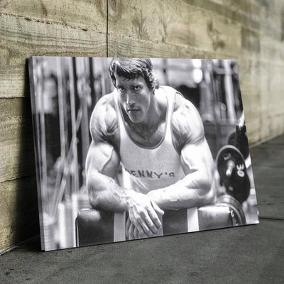 Arnold Schwarzenegger Bodybuilding Fitness CanvasWall Art|AlphaWallArt